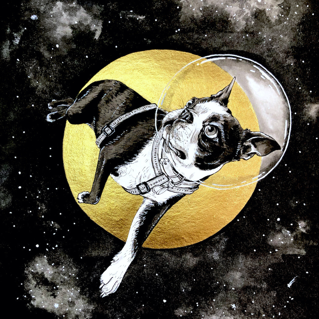 Illustration of Boston Terrier floating in space